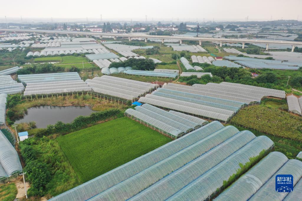 10博平台怎么样